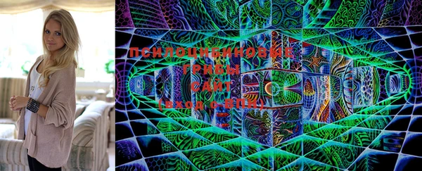 MESCALINE Кинешма