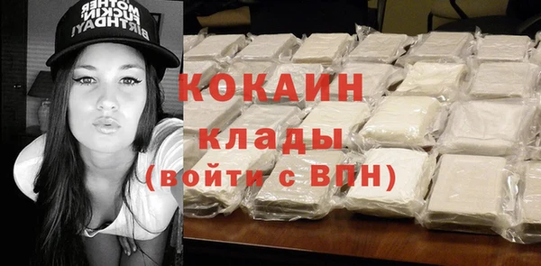 крисы Касимов
